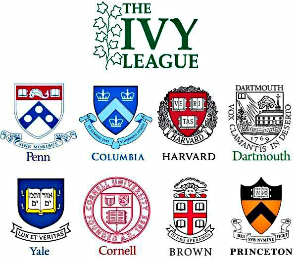 54729631 2616810128391197 7436812074333765632 n